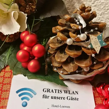 Lowen 3* Bludenz